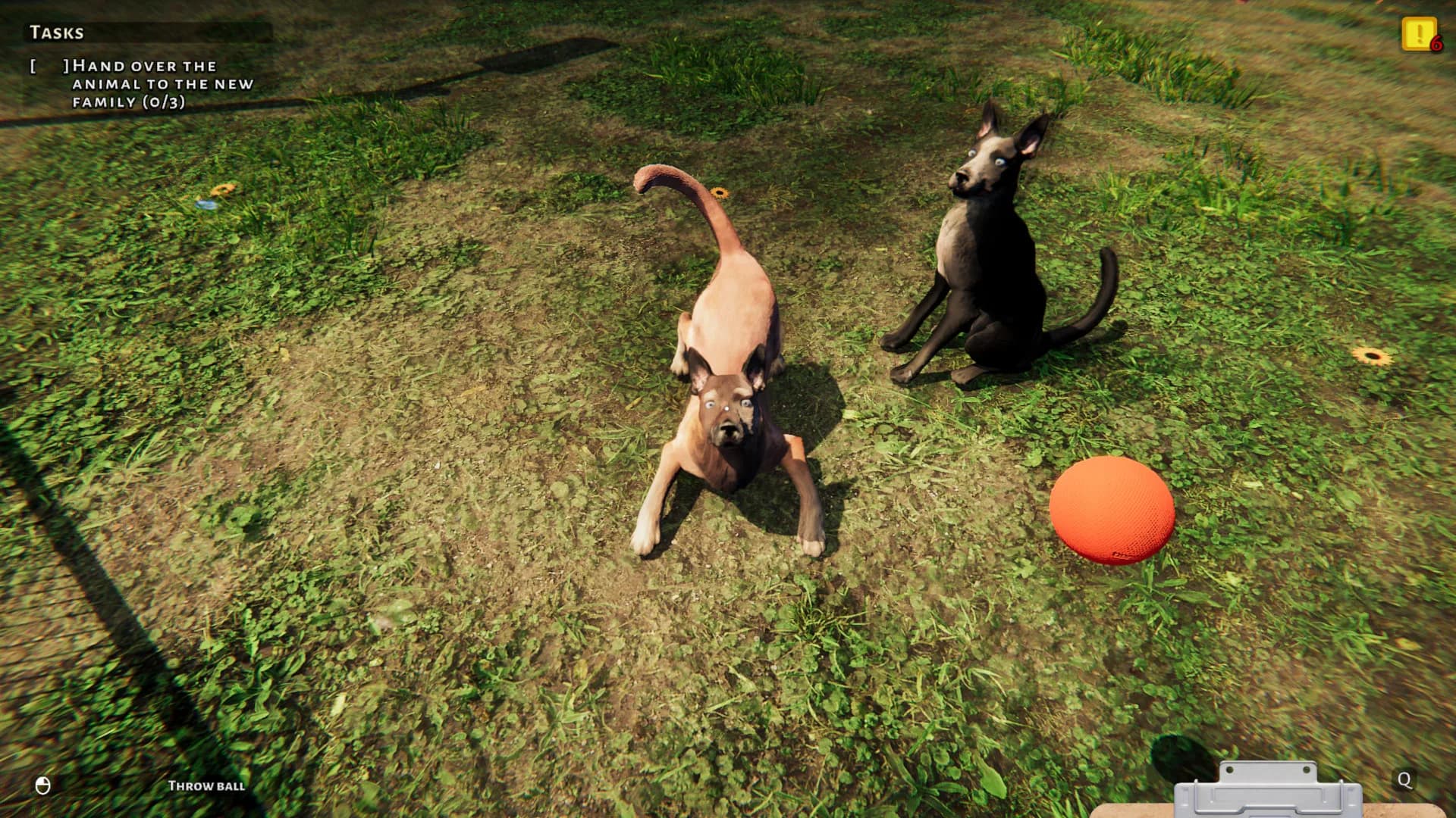 Animal Shelter: Prologue görsel 4