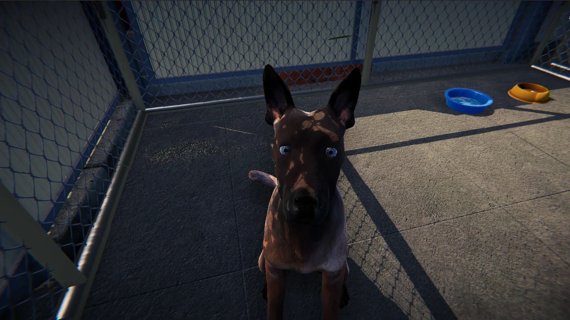 Animal Shelter: Prologue görsel 7