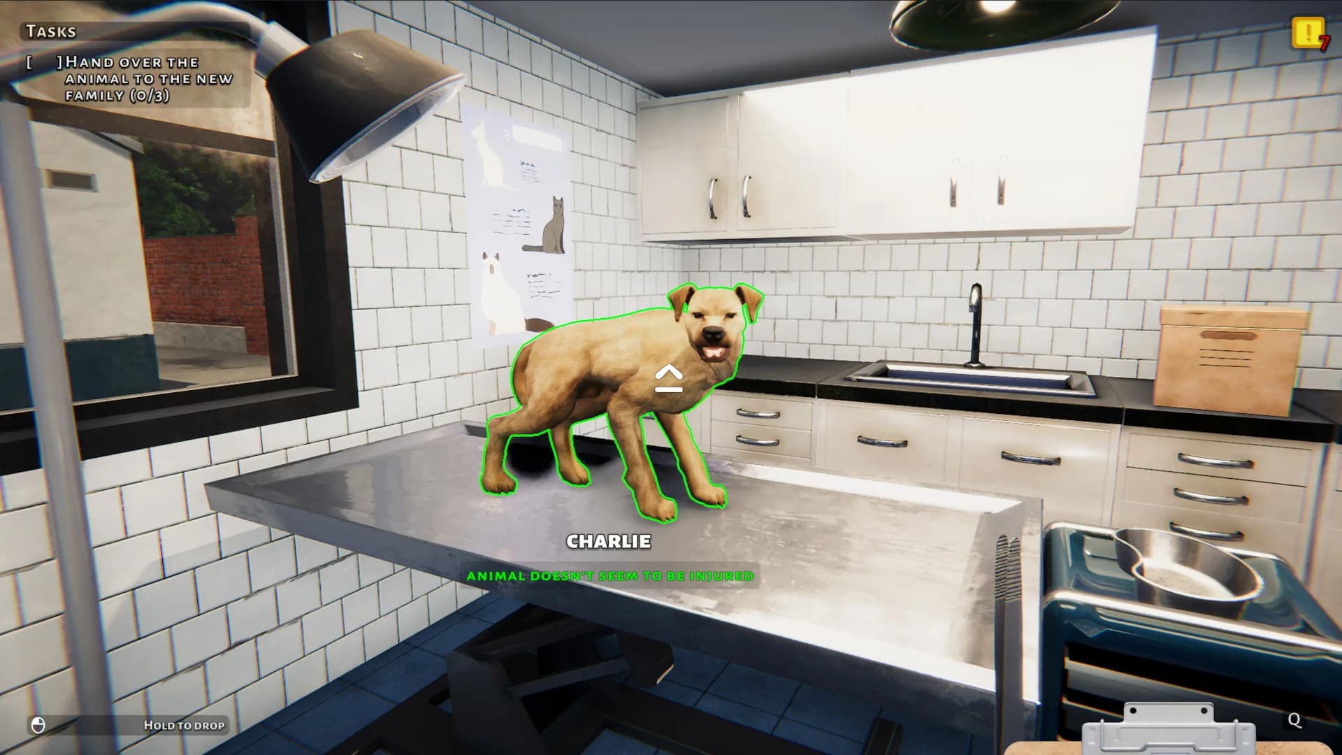 Animal Shelter: Prologue görsel 10