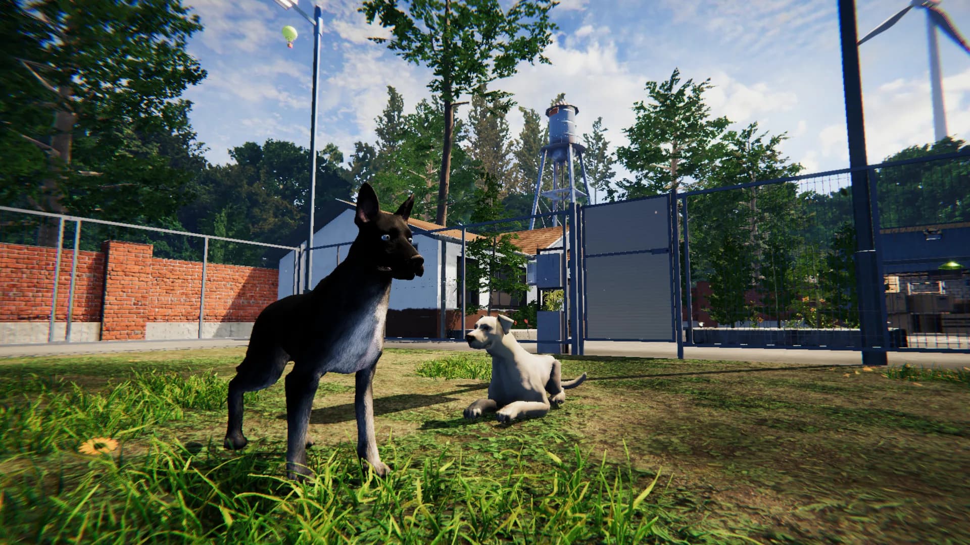 Animal Shelter: Prologue görsel 11