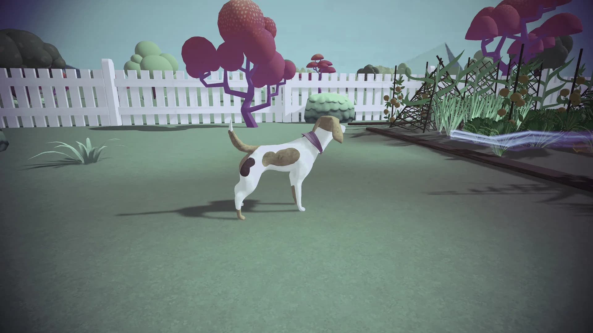 DOGGONE görsel 3