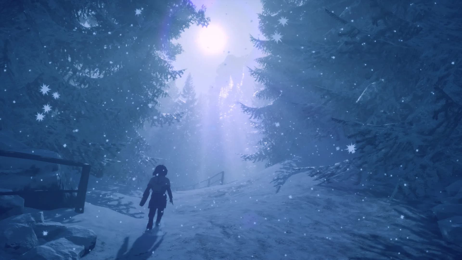 Skábma™ - Snowfall görsel 11