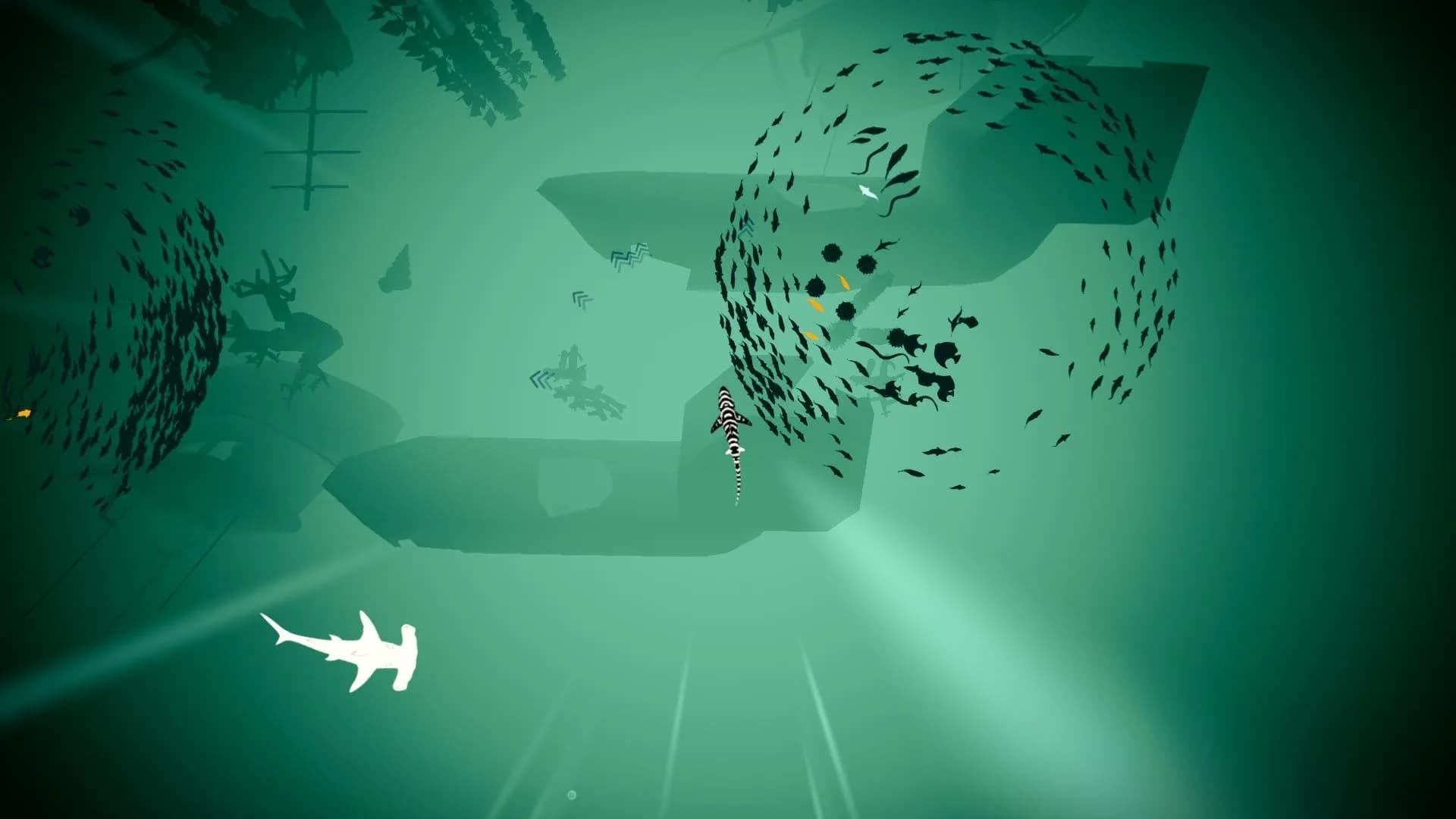 Shoal görsel 4