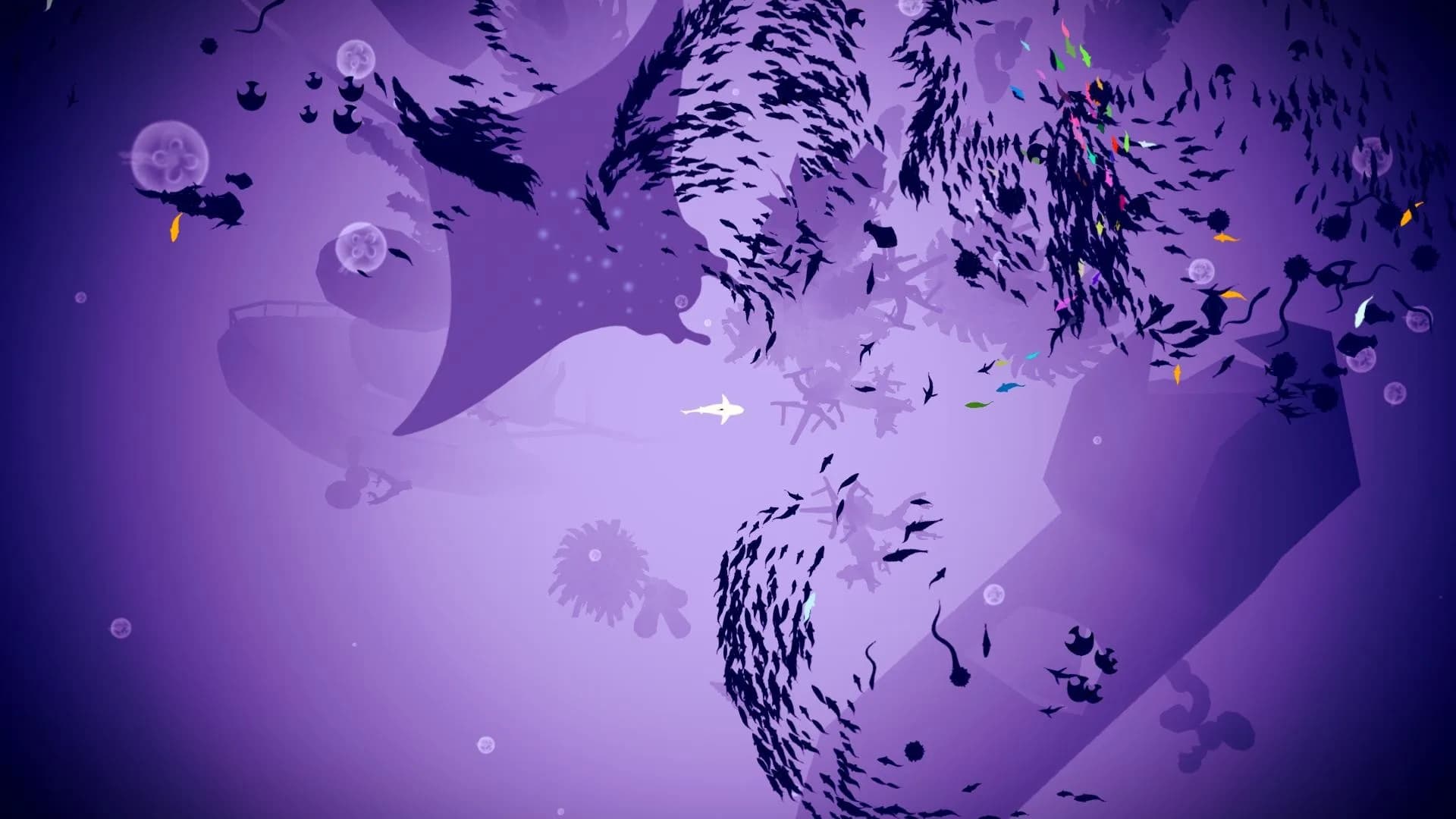 Shoal görsel 6