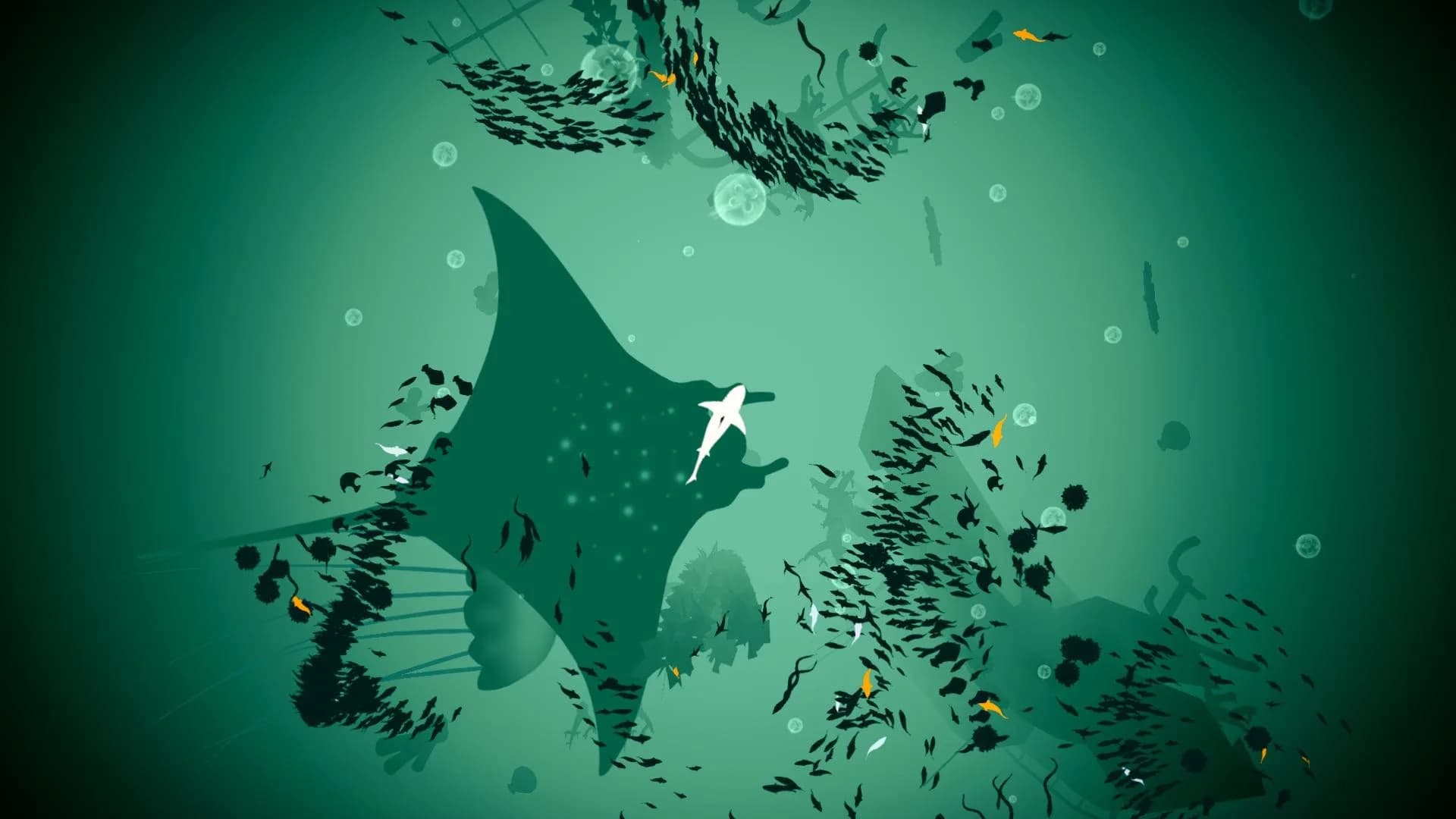 Shoal görsel 9