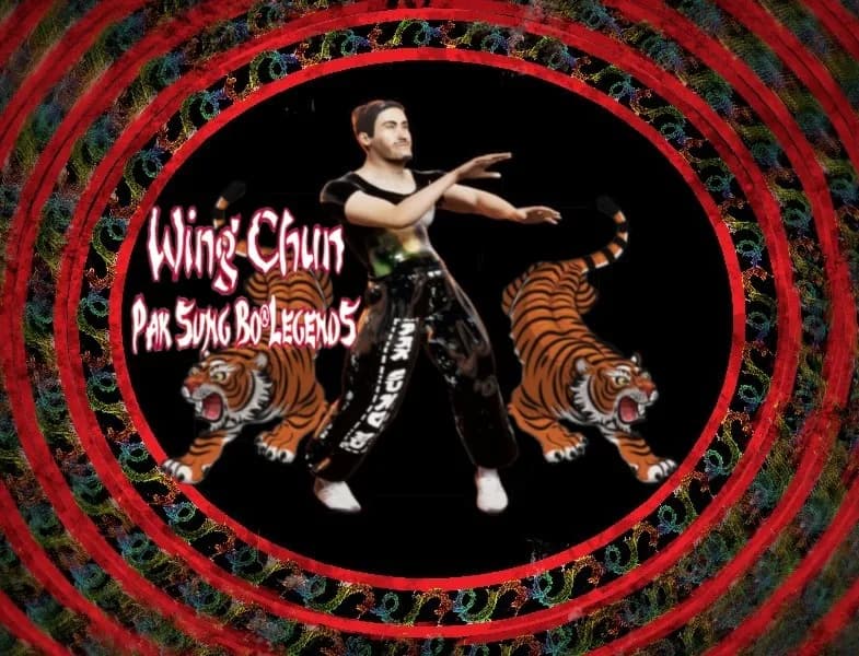 Pak Sung Bo Wing Chun görsel 4