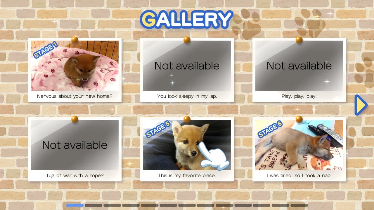 Shiba Mekuri 柴めくり görsel 4