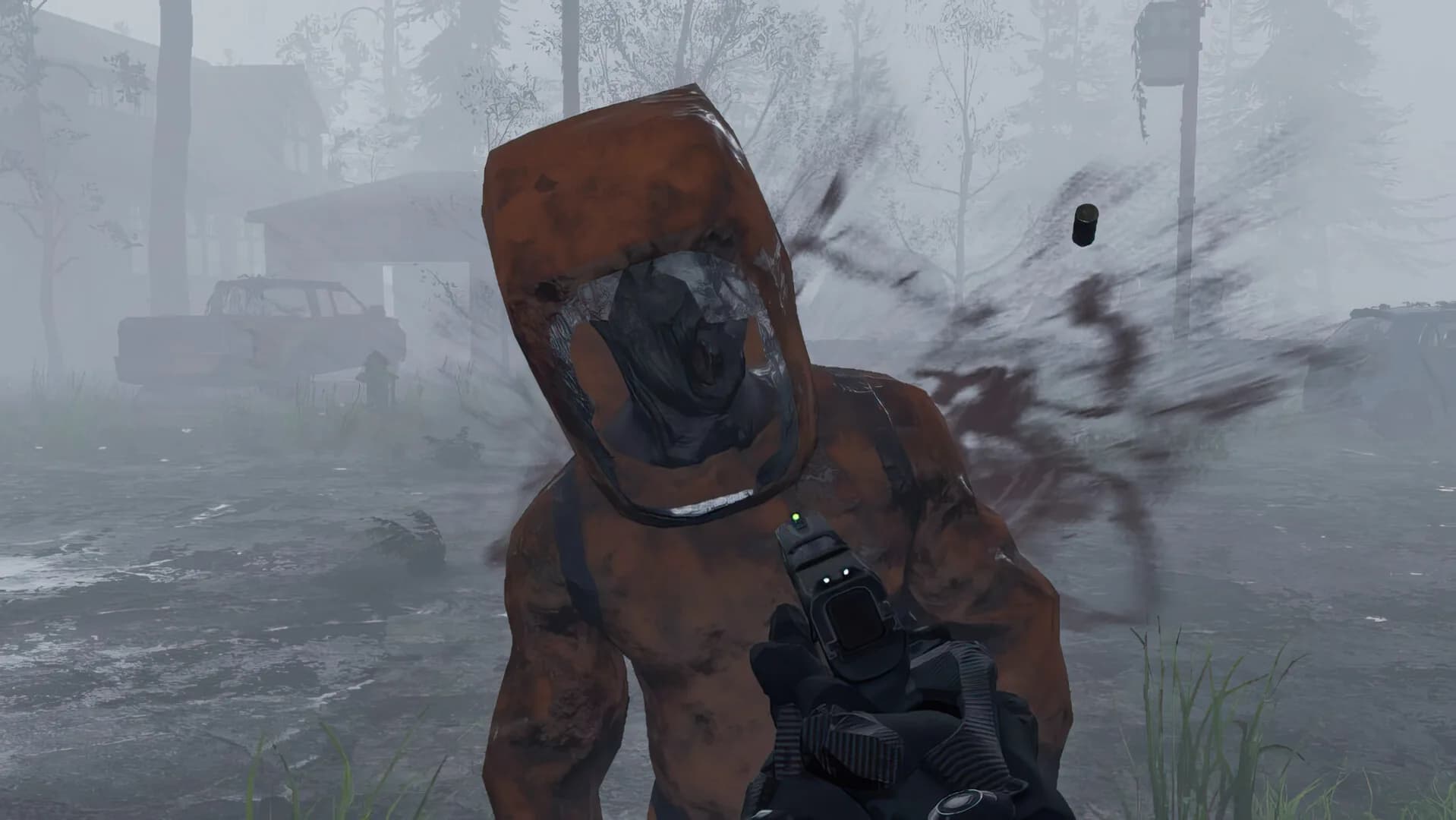 Survivor görsel 5