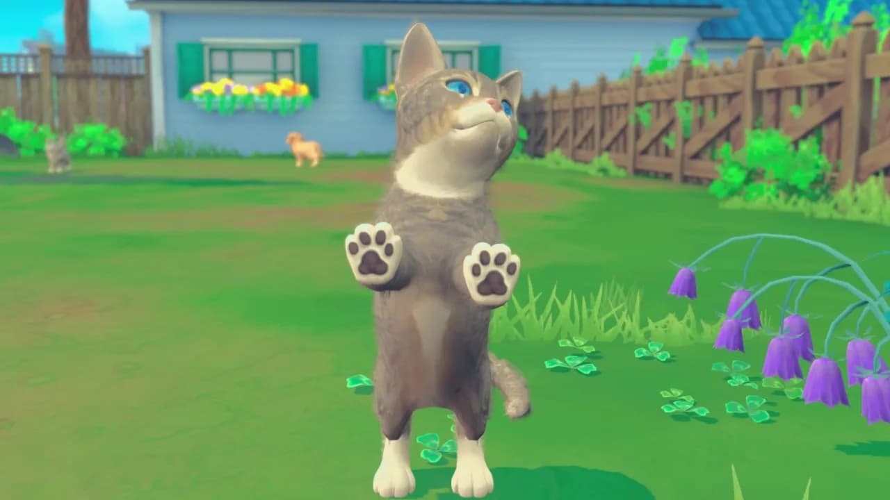 My Universe - Puppies & Kittens görsel 7