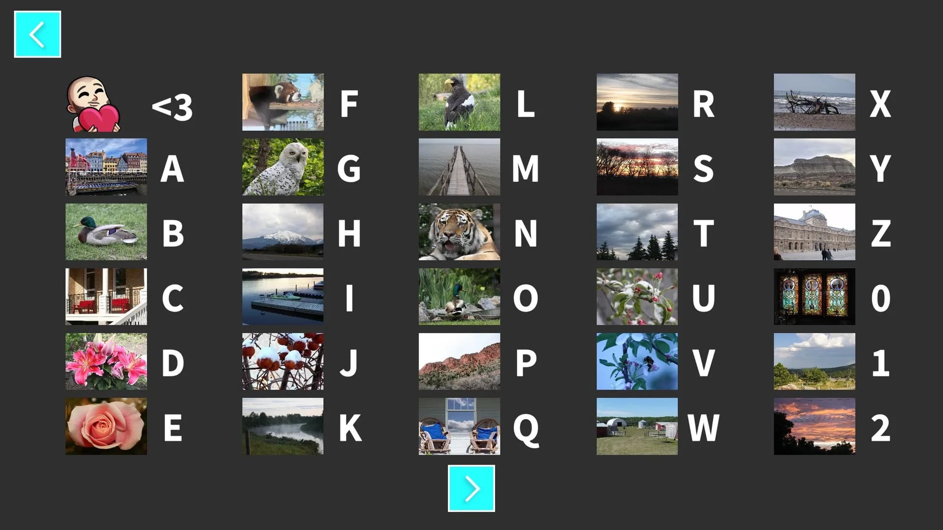StOoPiD Puzzle Game görsel 17