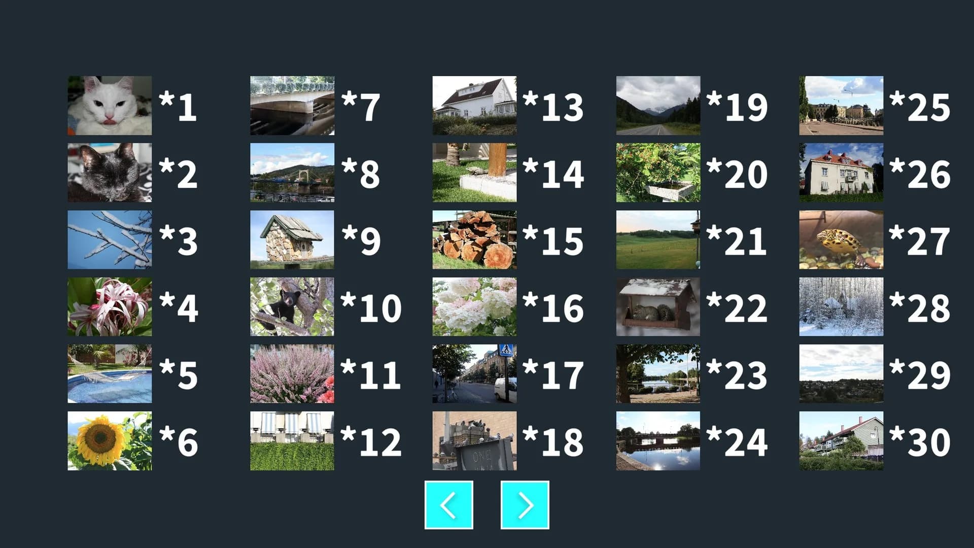 StOoPiD Puzzle Game görsel 18