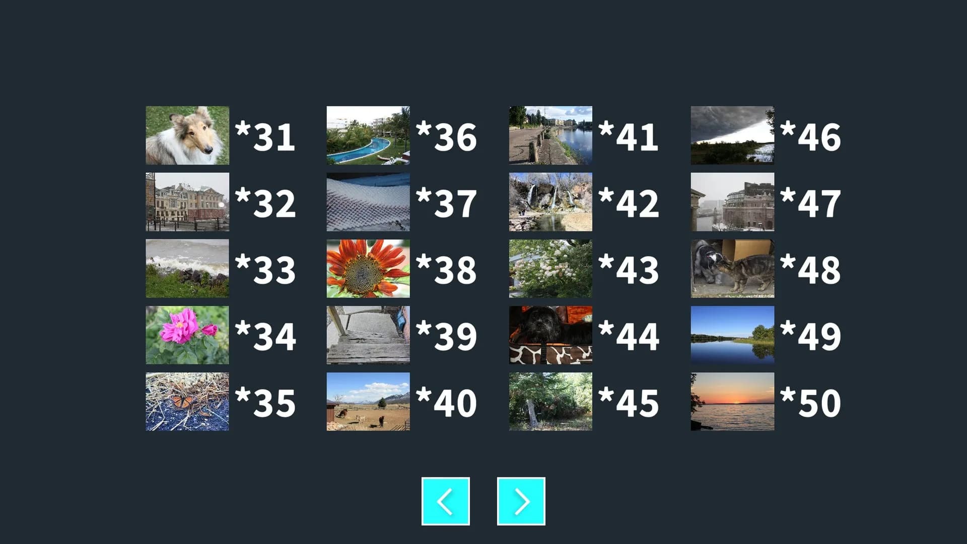 StOoPiD Puzzle Game görsel 19