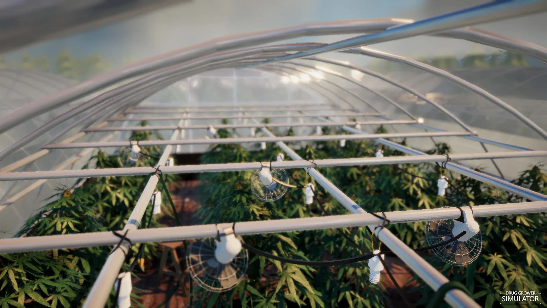 Drug Grower Simulator görsel 3
