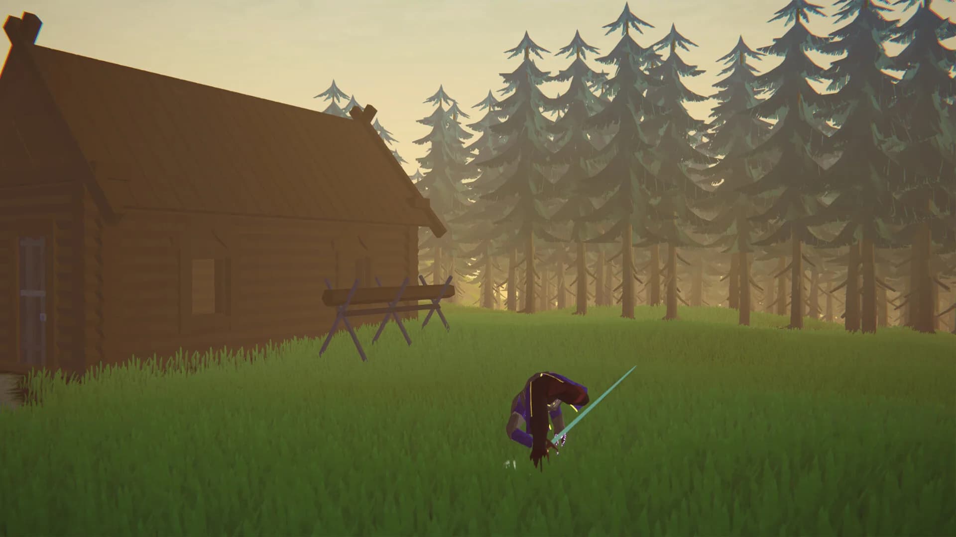 Sword of the Cat: Lost Hope görsel 7