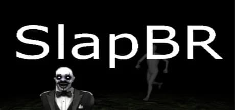 SlapBR görsel 1