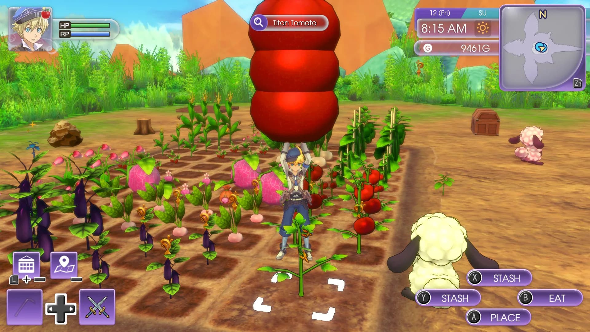 Rune Factory 5 görsel 3
