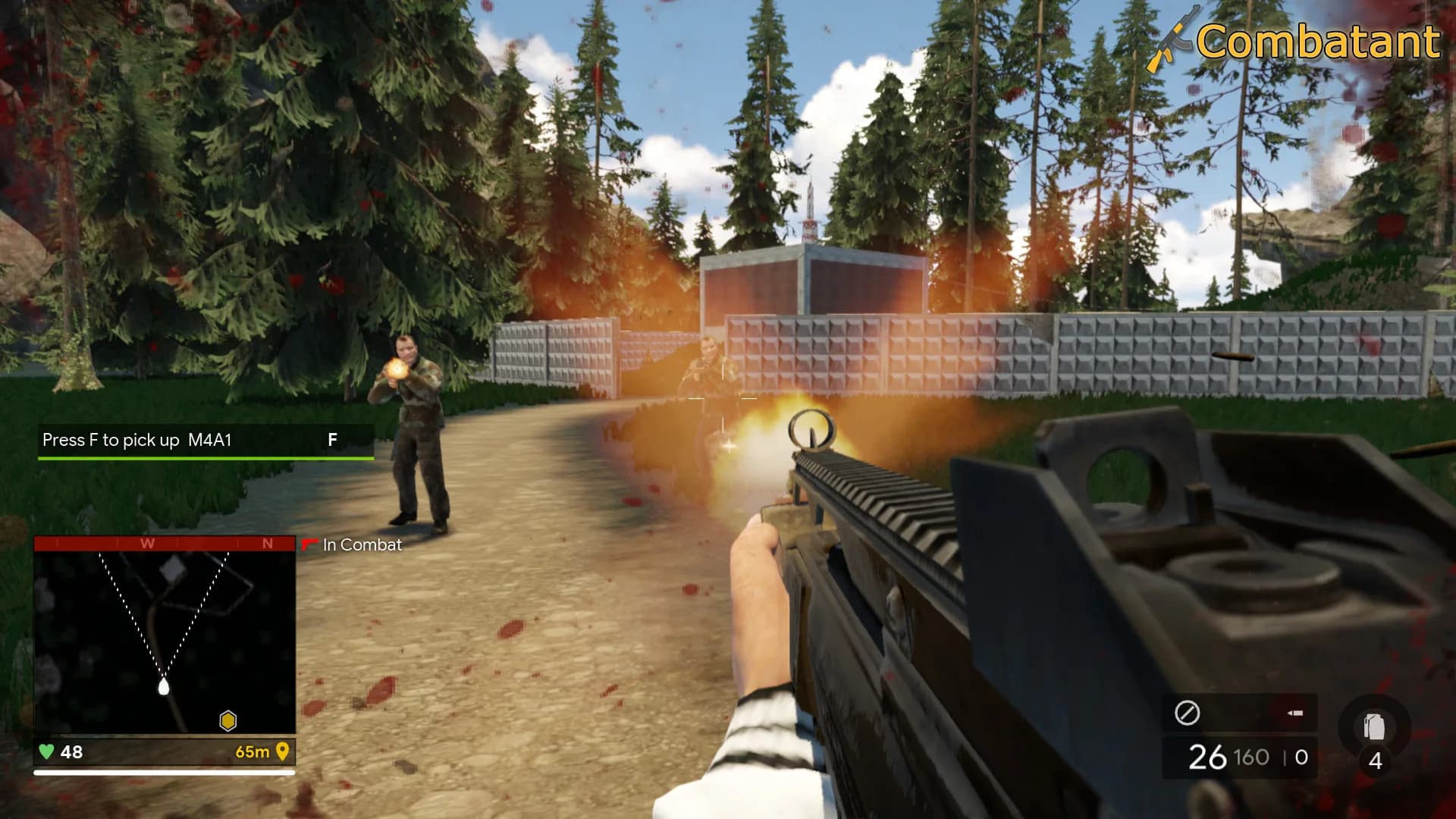Combatant görsel 3