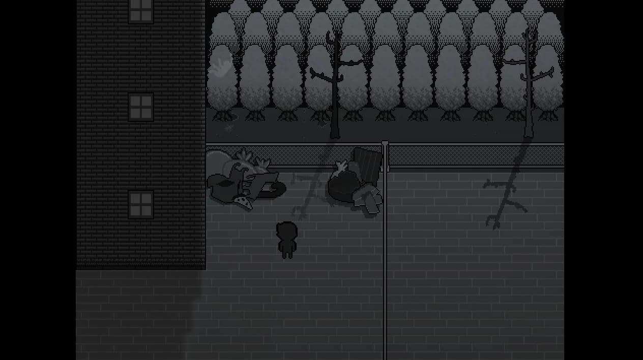 No Body görsel 13