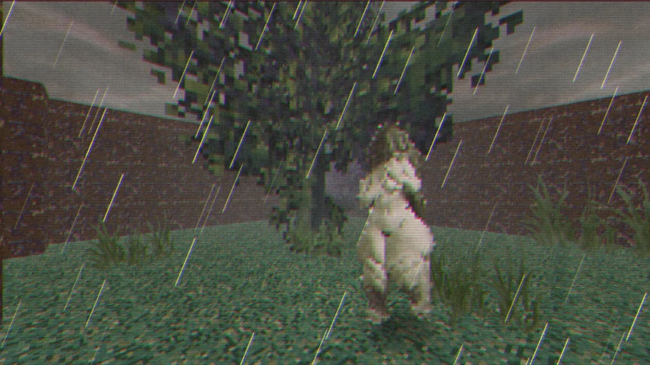 No Body görsel 16