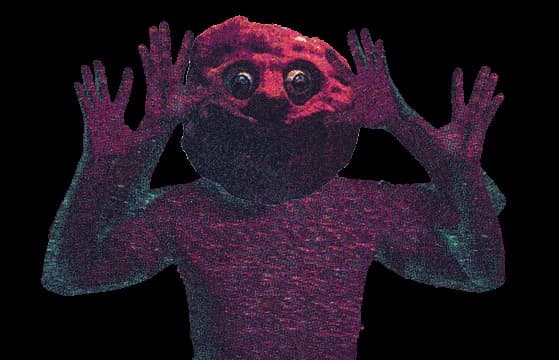 No Body görsel 10