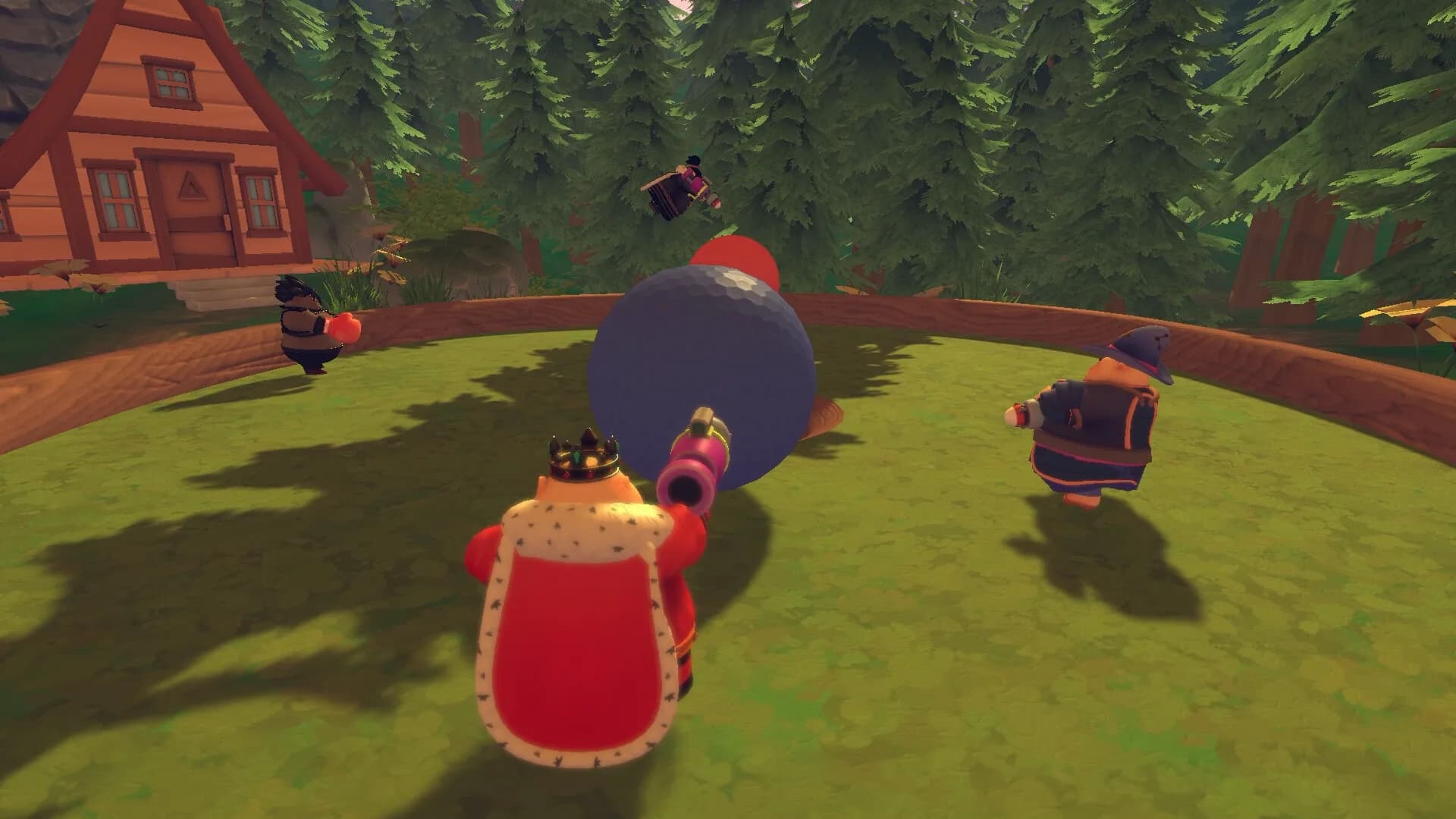 Sumo Tatami Prologue görsel 8