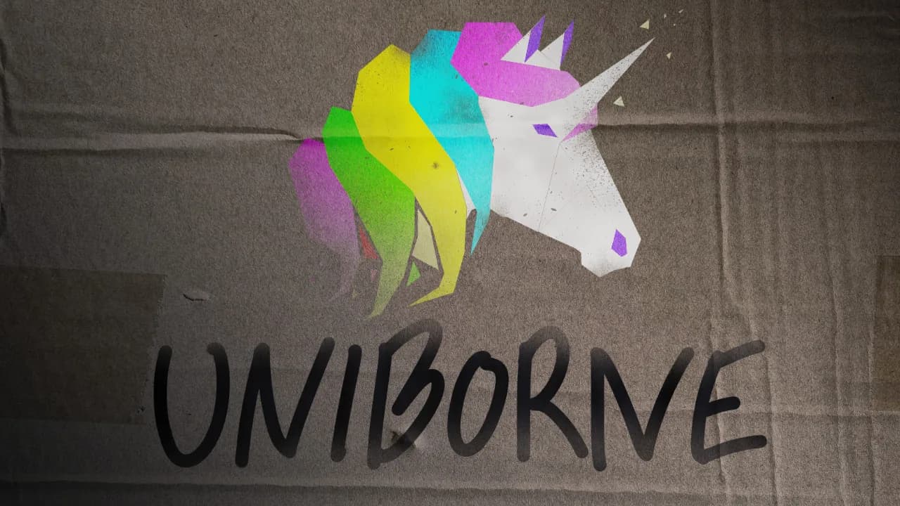 Uniborne görsel 2
