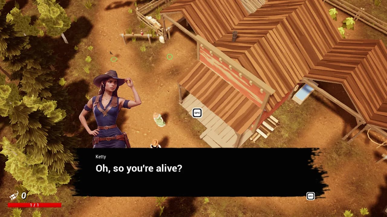 I'm a cowboy: Western Shooter görsel 2