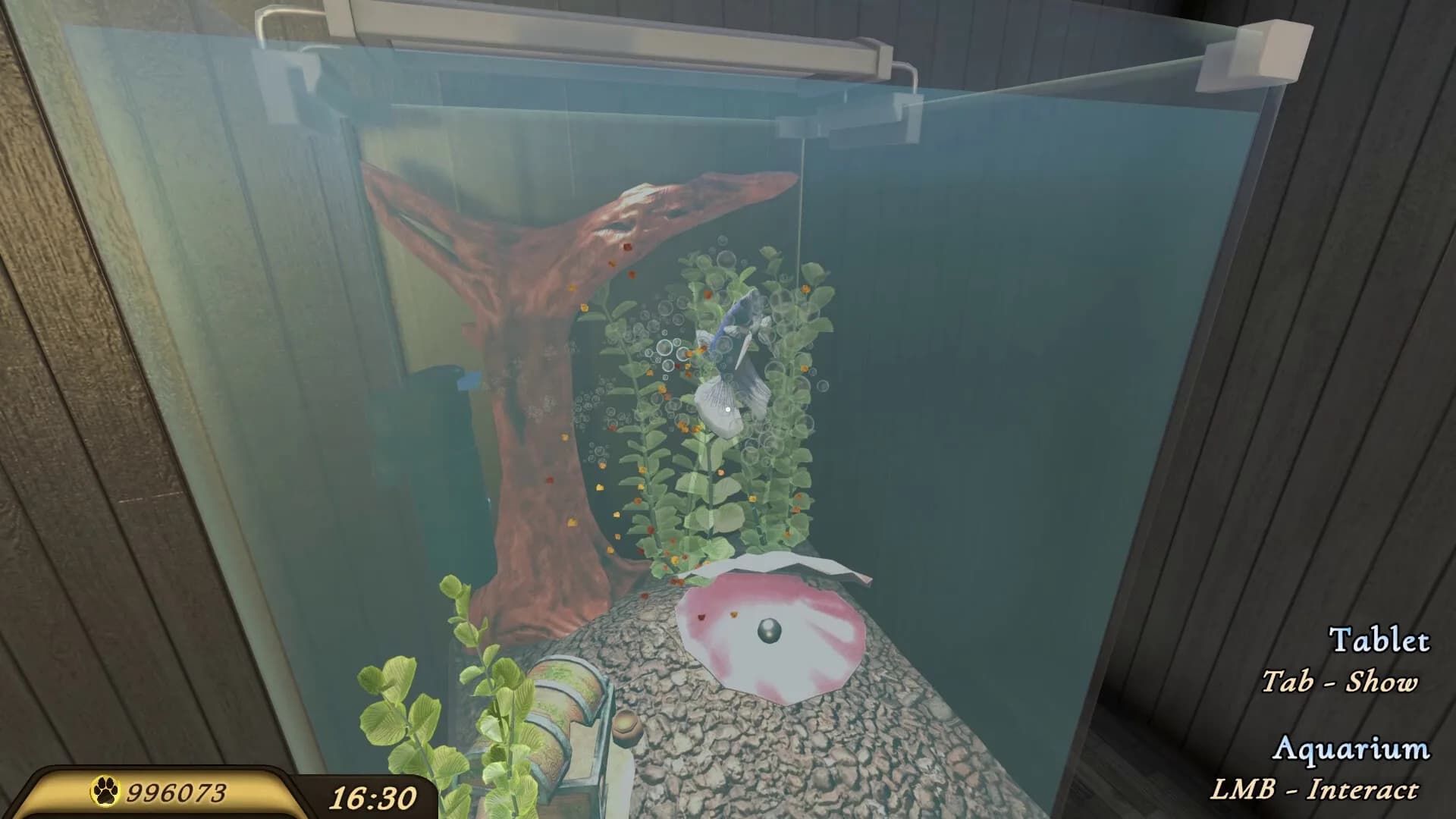 Pets Hotel görsel 21