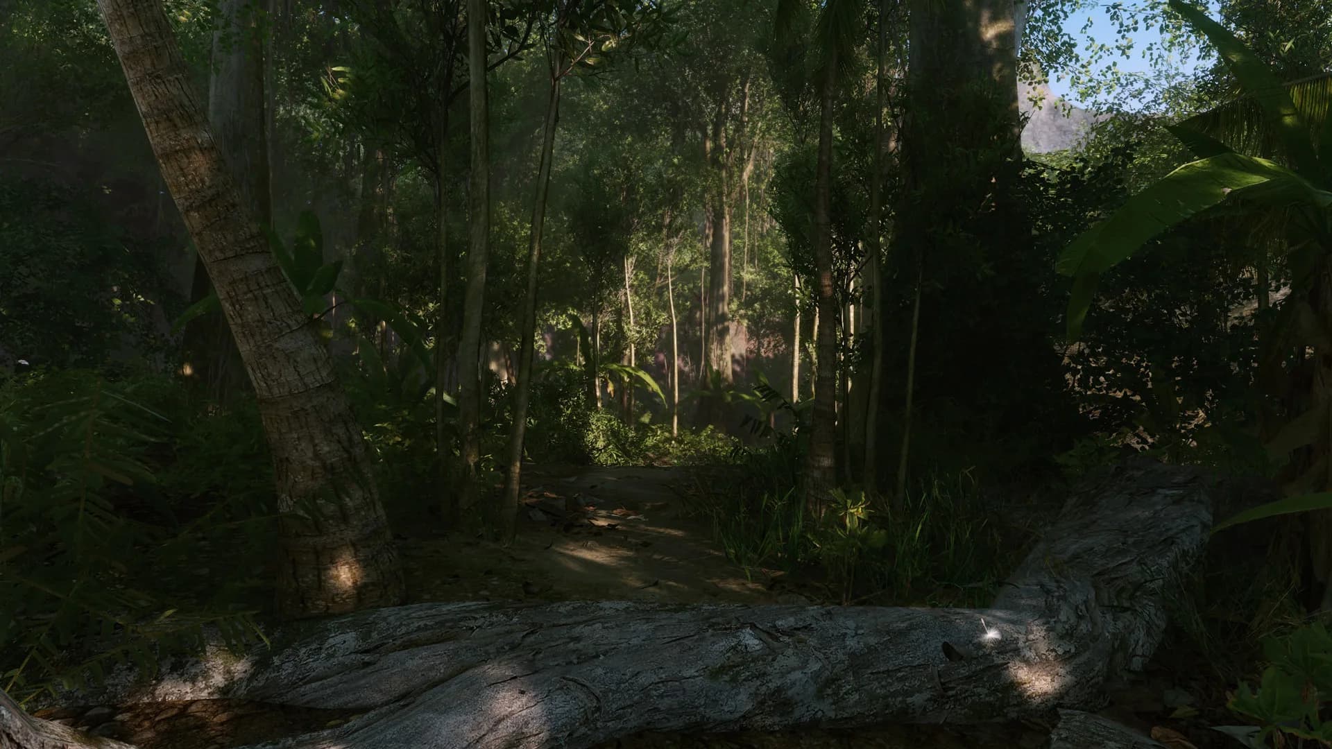 Crysis Remastered görsel 5