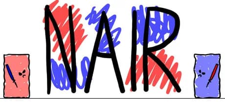 NAIR görsel 1