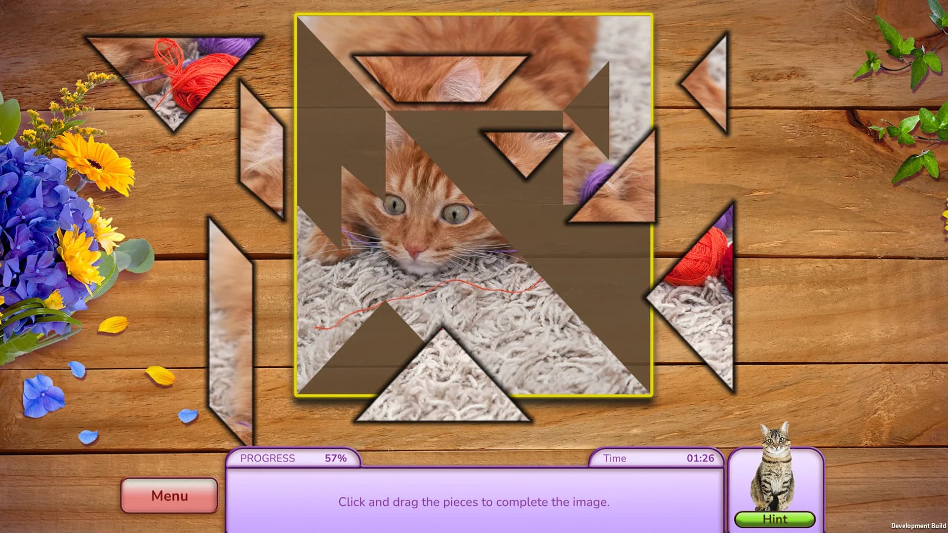 I Love Finding Cats görsel 11
