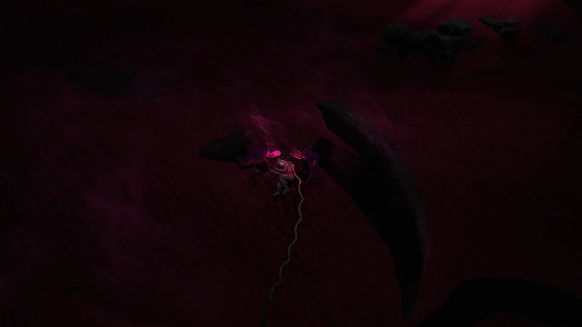 Umbilical görsel 6