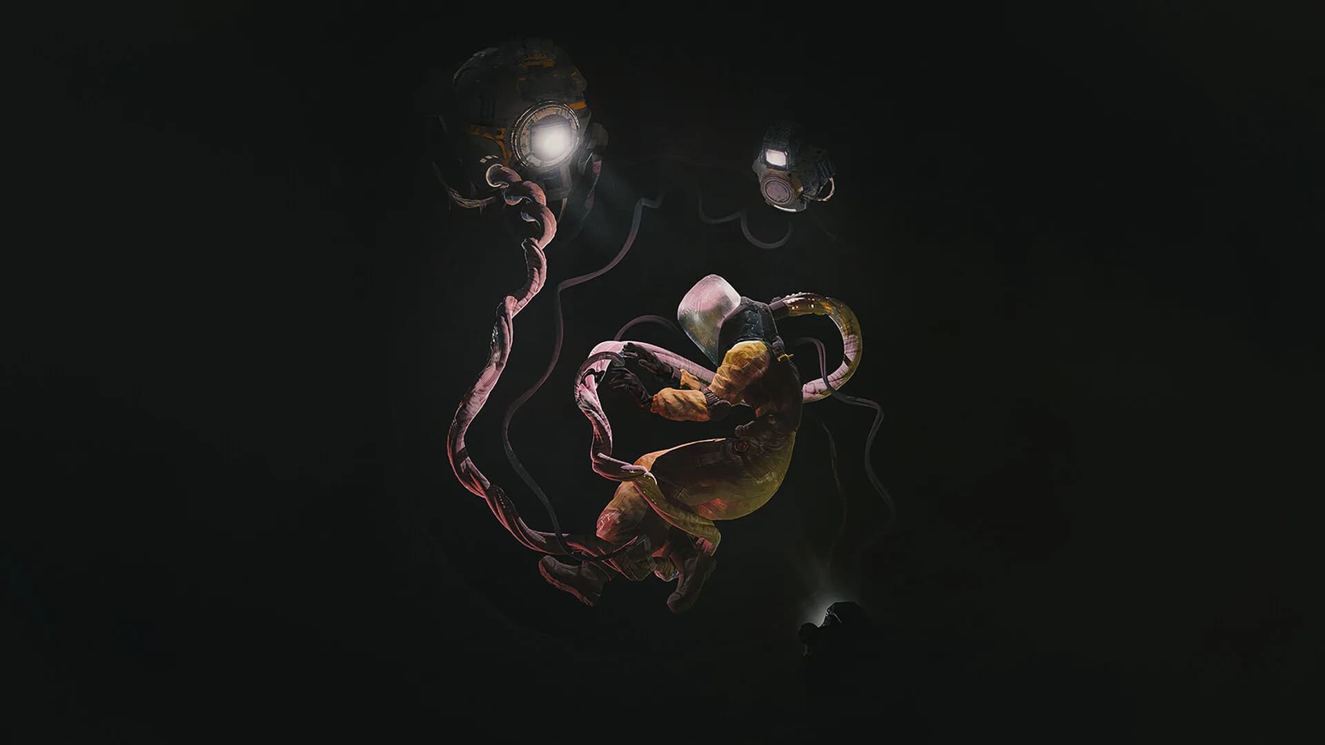 Umbilical görsel 8