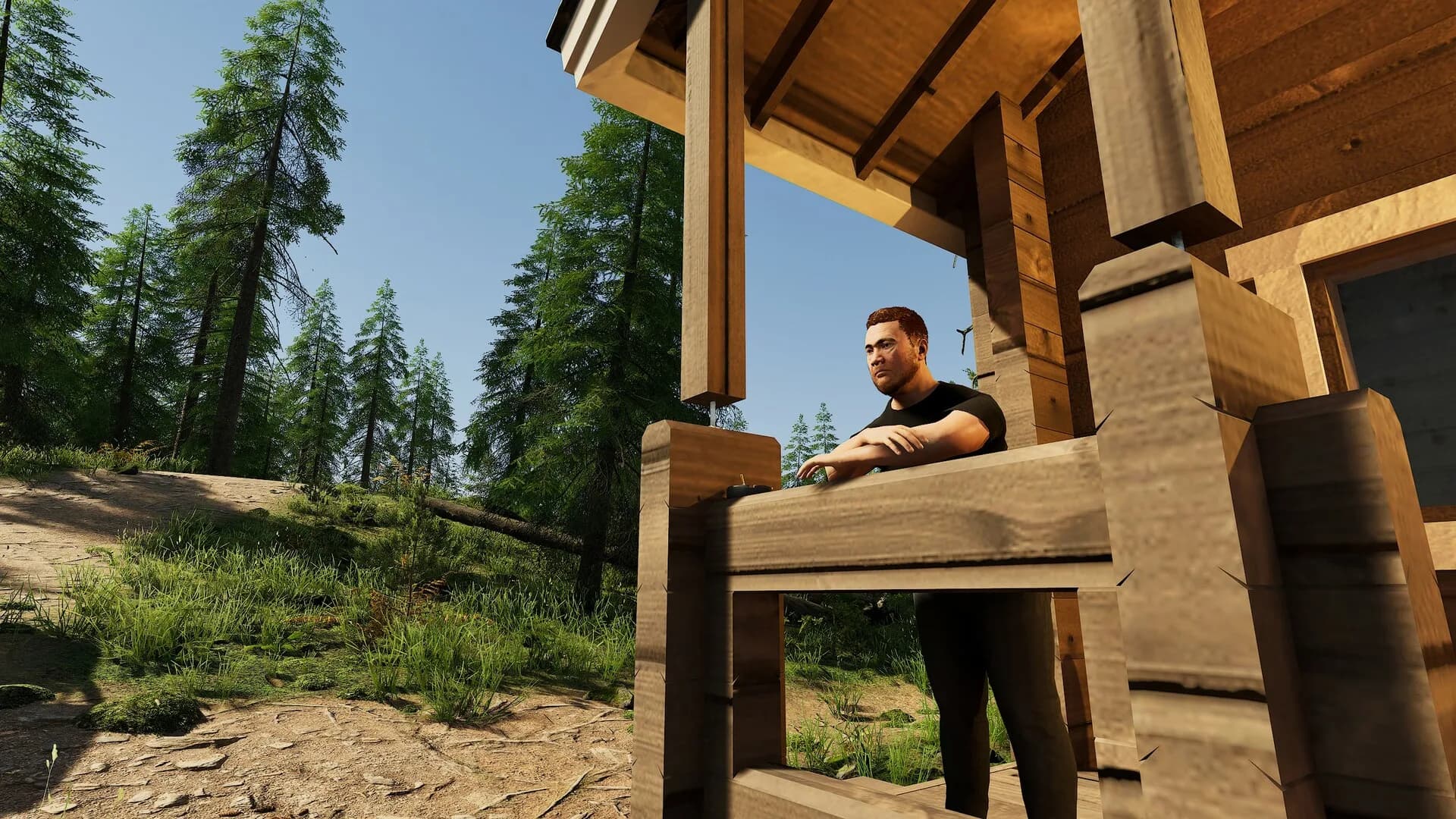 Finnish Cottage Simulator görsel 8