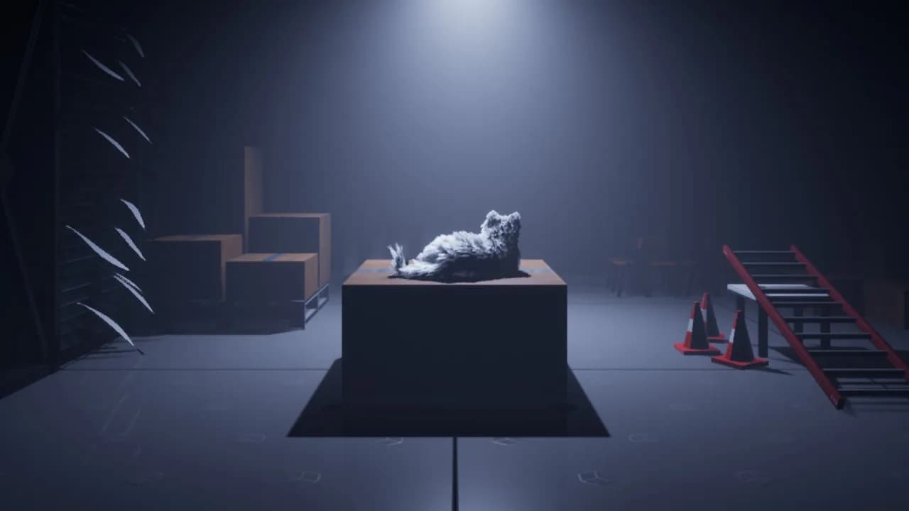 Follow The Cat görsel 2