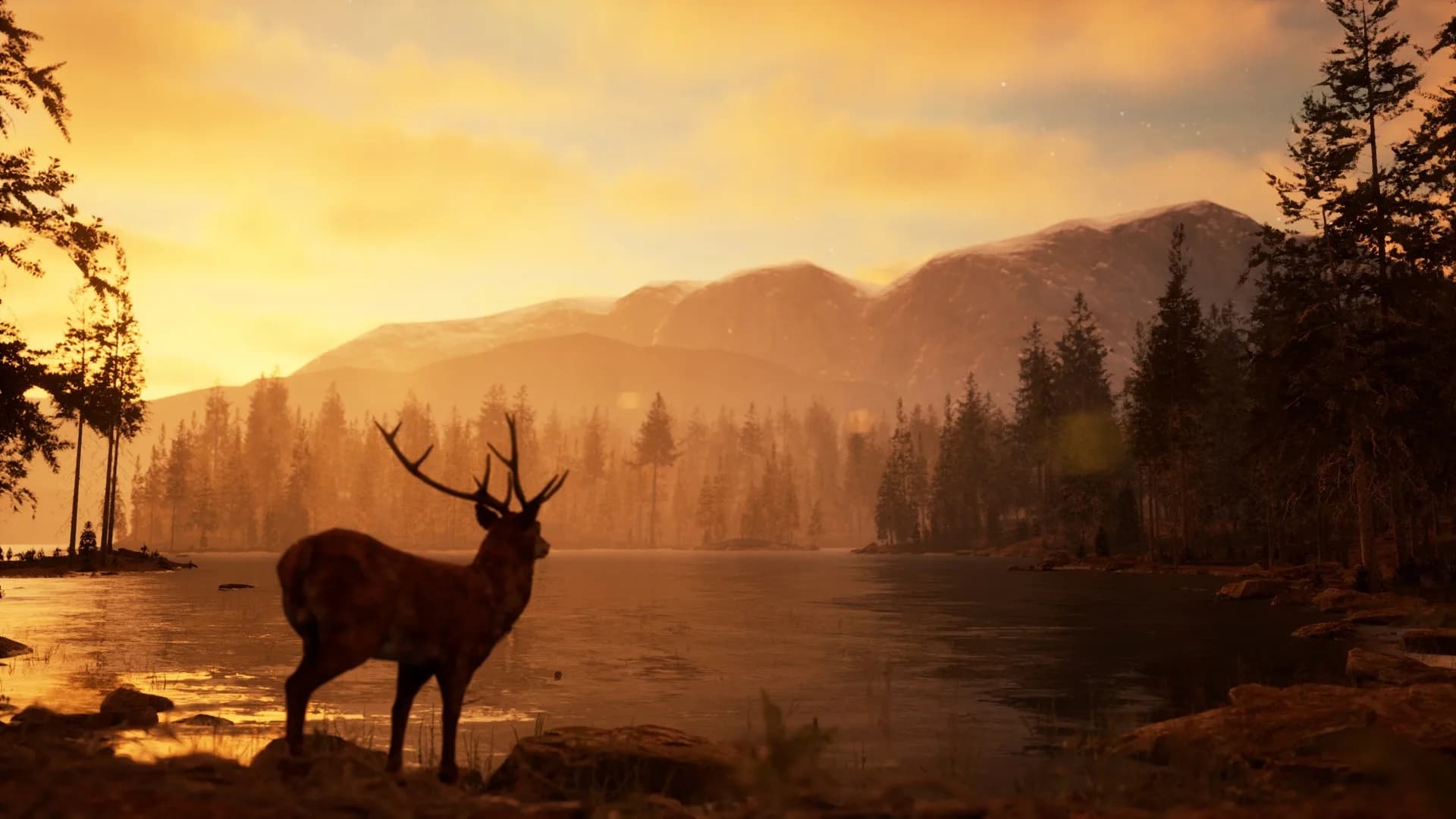 Photography Simulator görsel 12