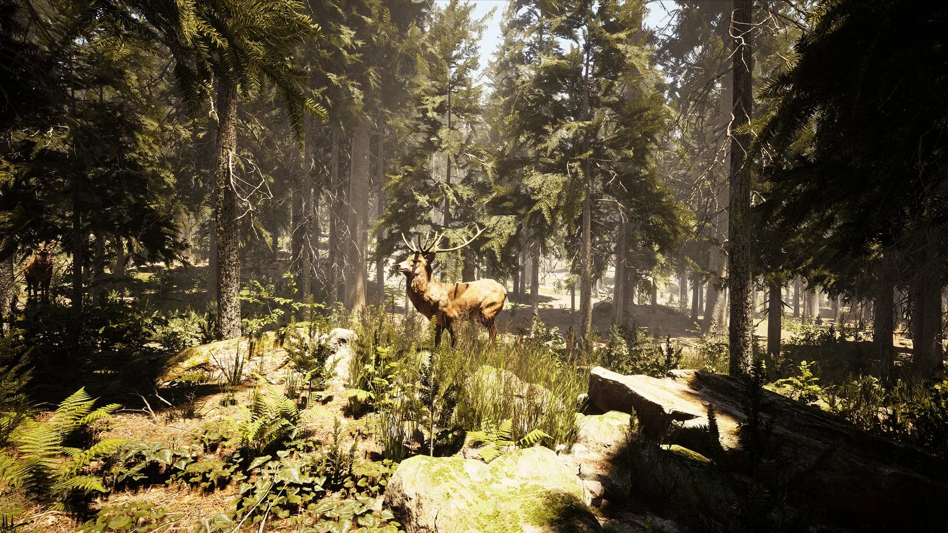 Photography Simulator görsel 10