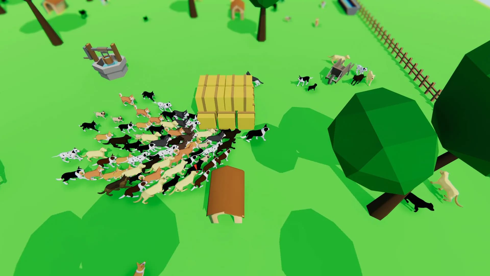 DOGS.IO görsel 9