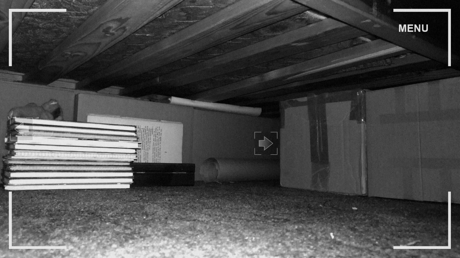 DUMB: Treasure görsel 2