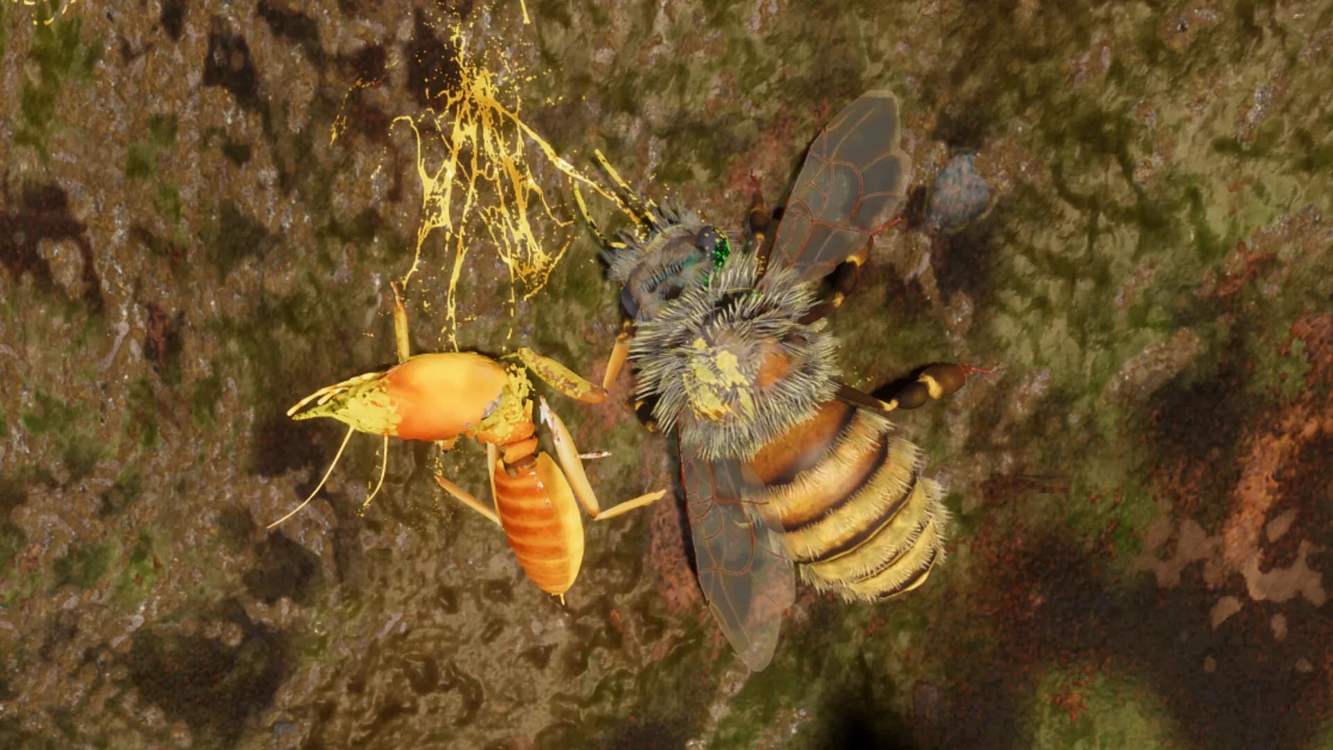 For The Hive görsel 5