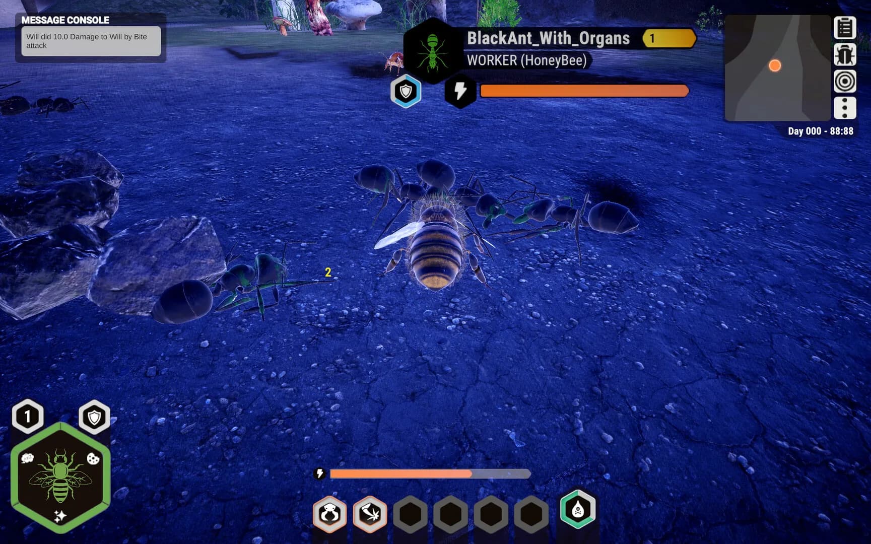 For The Hive görsel 6