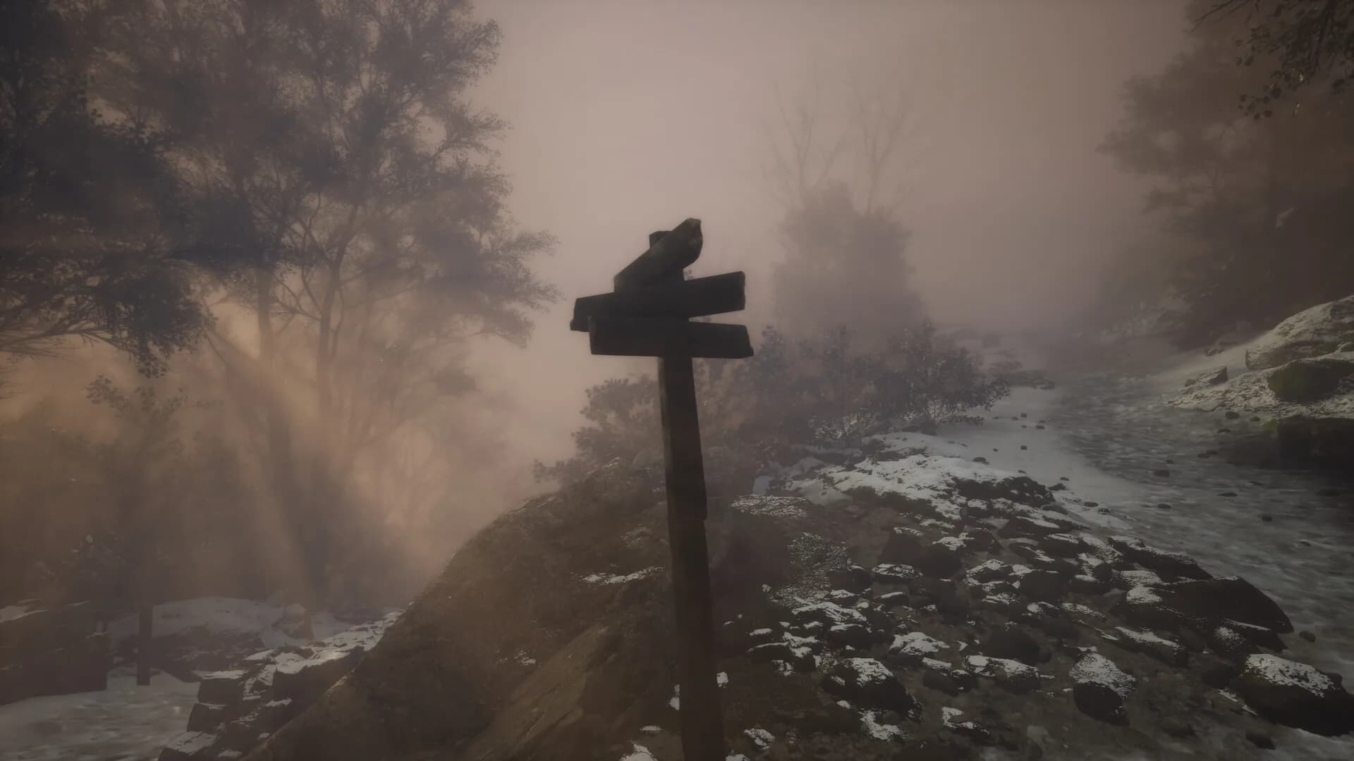 Lushfoil Photography Sim görsel 9