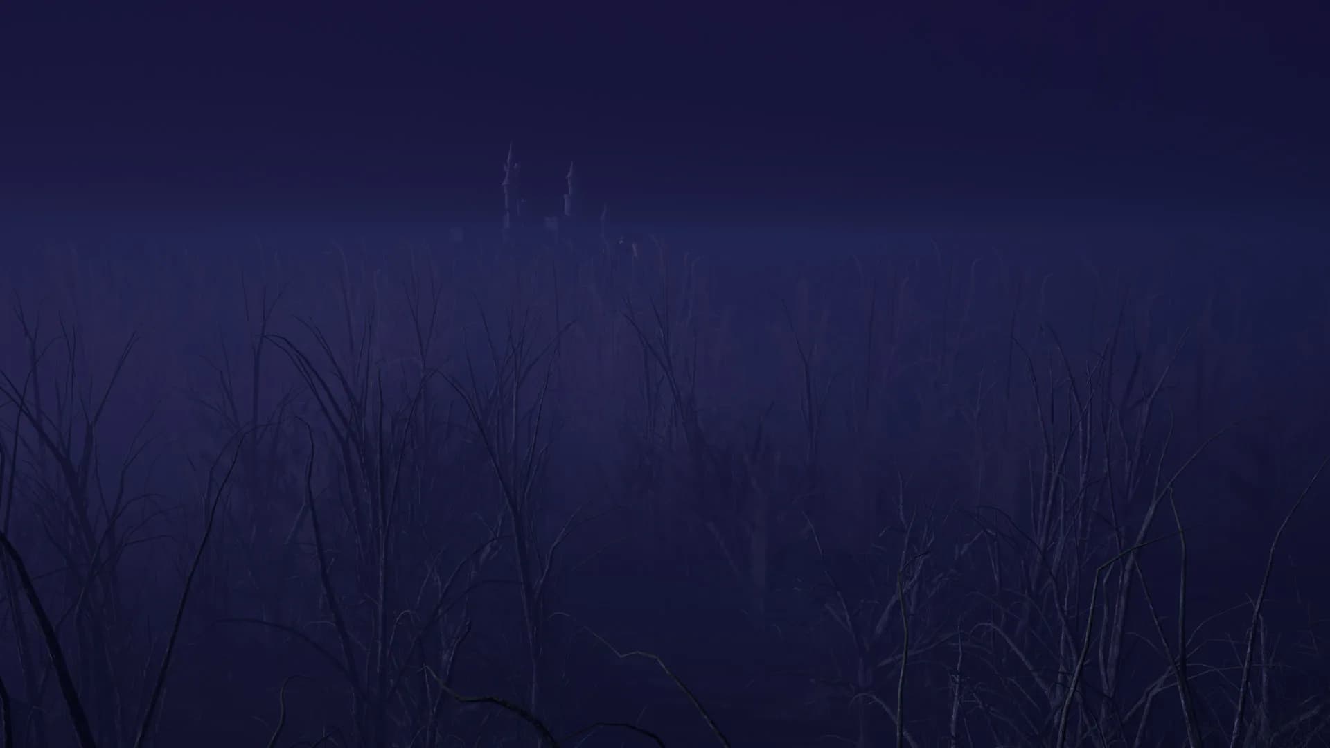 Magurele Mystery görsel 7