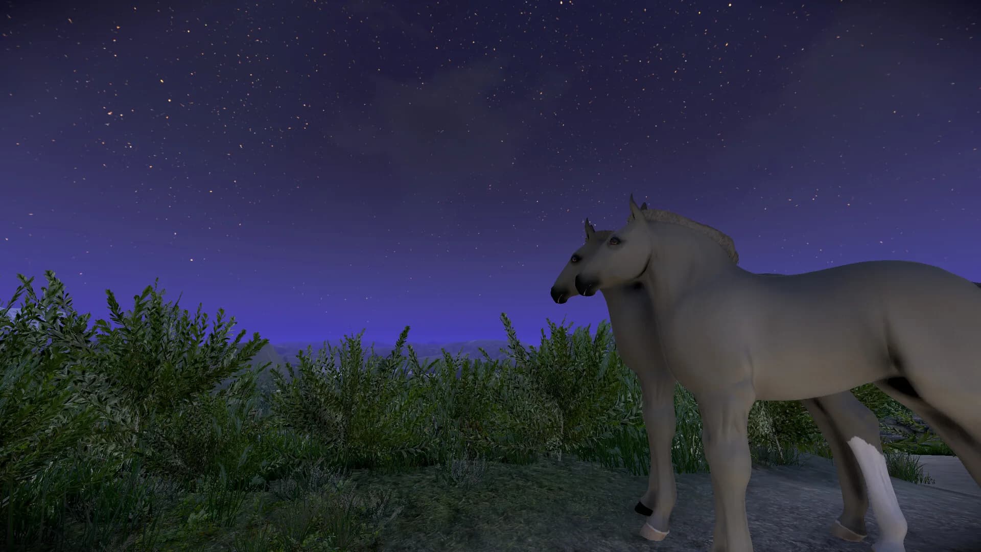 Astride görsel 14
