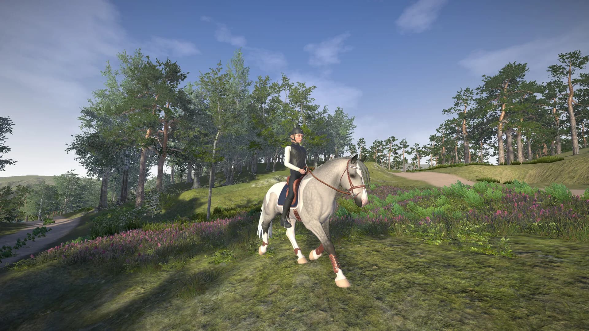 Astride görsel 16