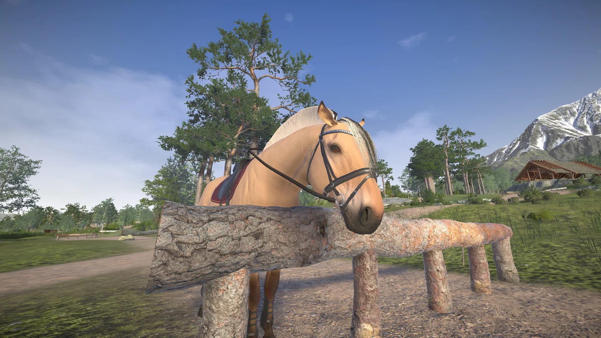 Astride görsel 24