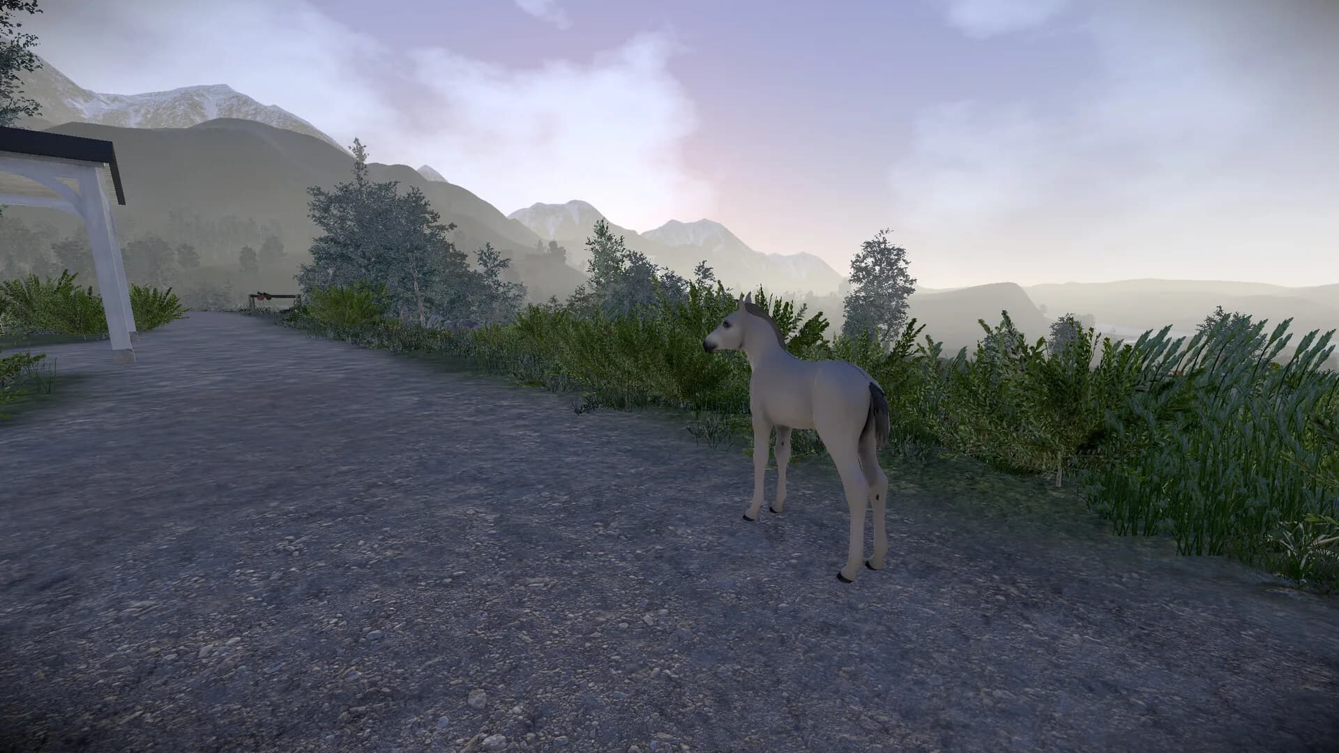 Astride görsel 10