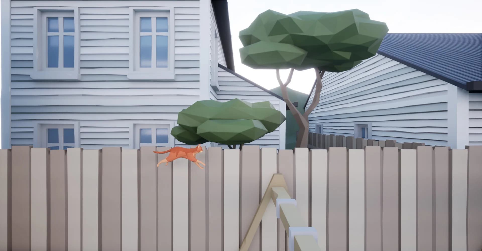 Cat Jumper görsel 3