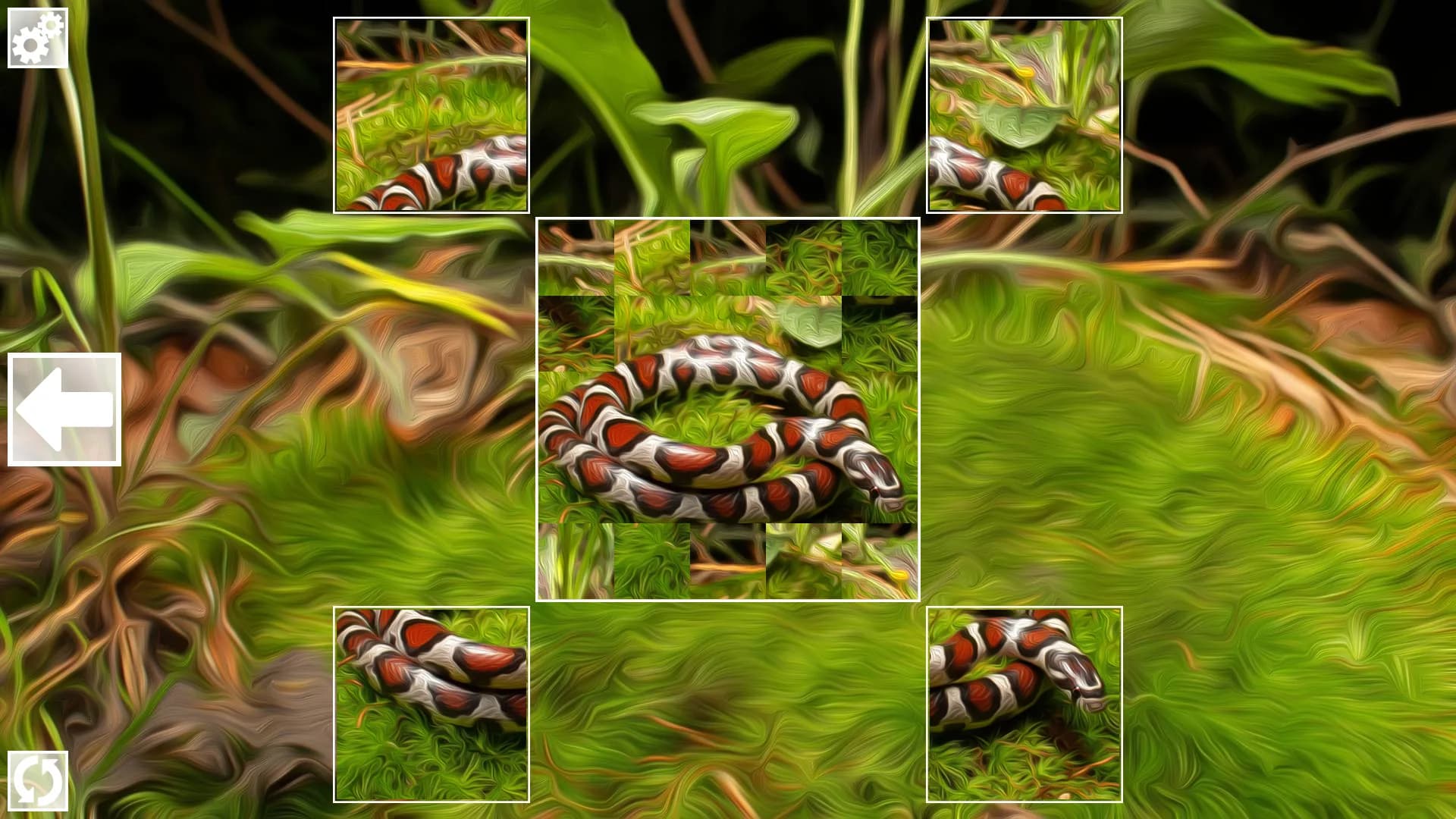 Puzzle Art: Snakes görsel 2