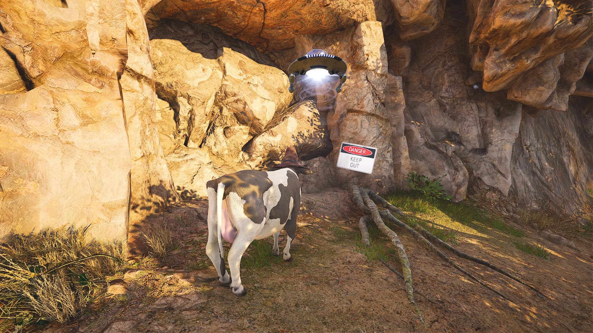 Quiet Farm görsel 16